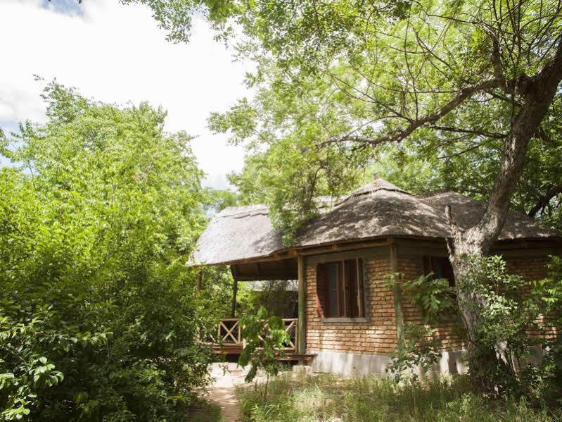 Selous Kinga Lodge Kwangwazi Extérieur photo